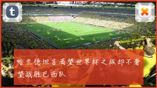 哈兰德坦言渴望世界杯之旅却不奢望战胜巴西队